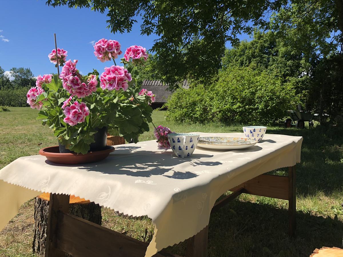 Kaespri Farmstay Koguva Ngoại thất bức ảnh